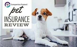 companion protect pet insurance reviews